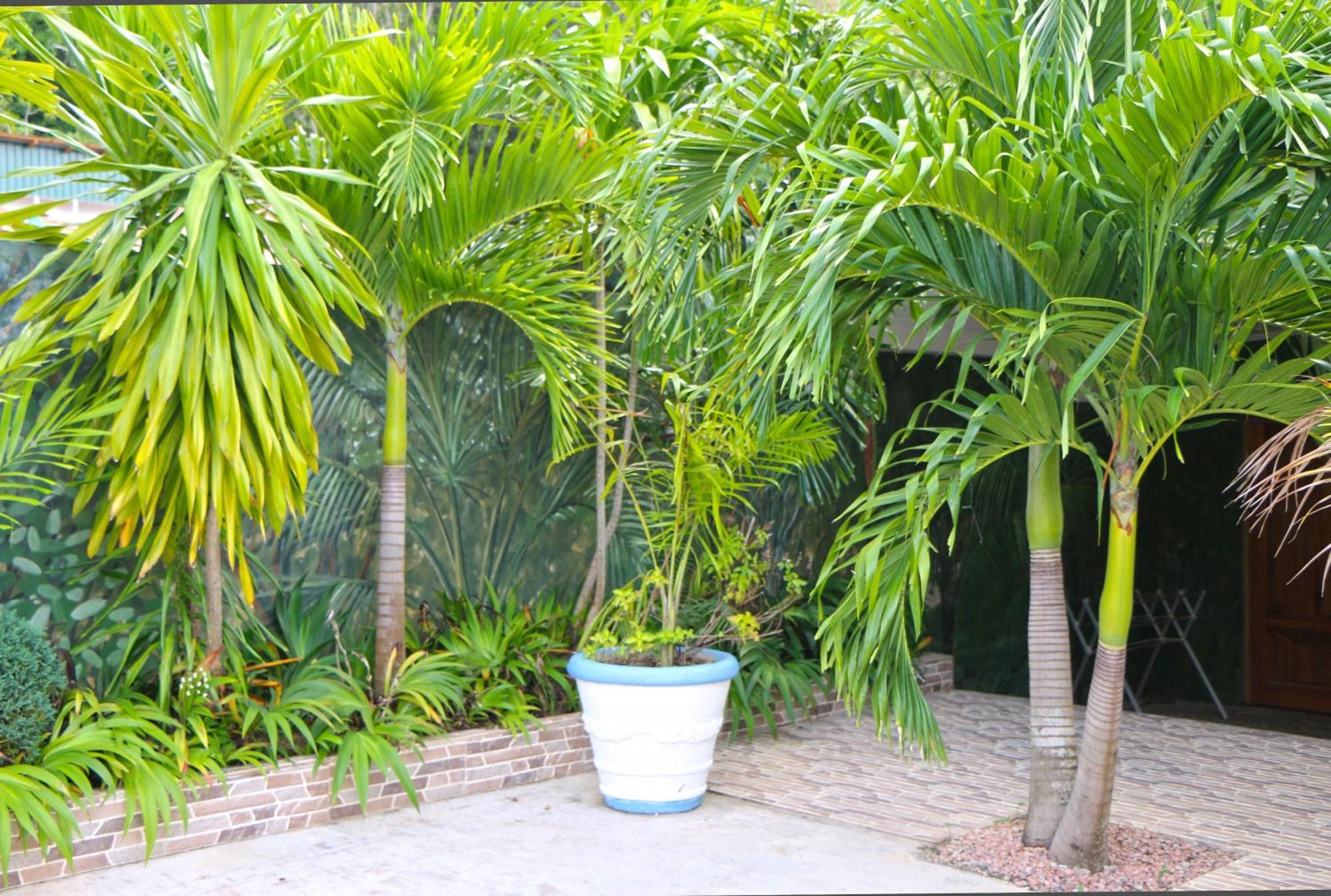 Ocean Blue Bay Anse Volbert Village Exterior foto