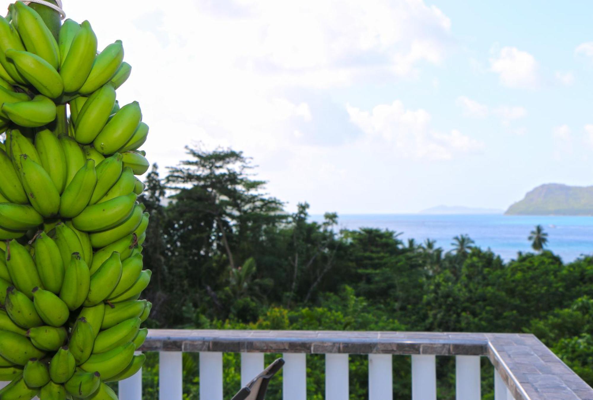 Ocean Blue Bay Anse Volbert Village Exterior foto