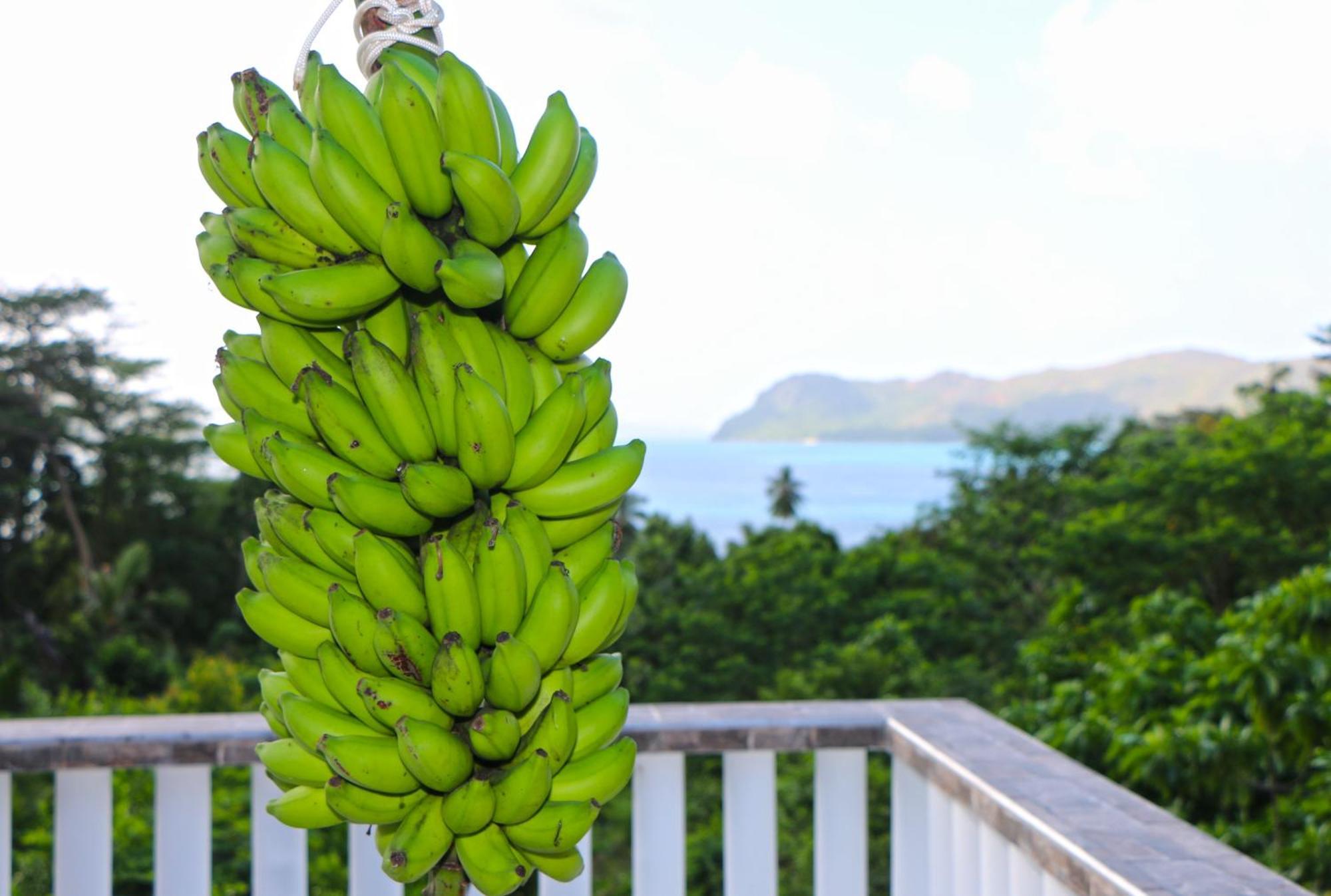 Ocean Blue Bay Anse Volbert Village Exterior foto