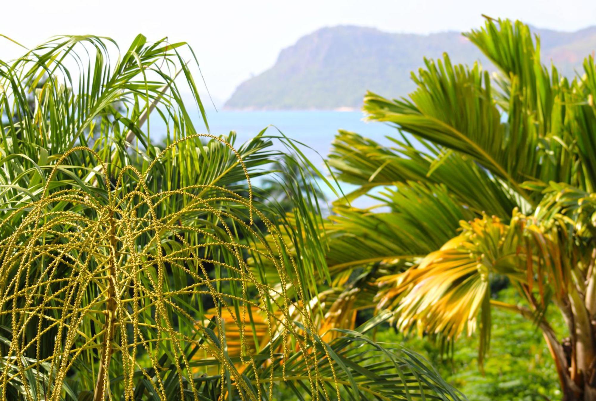Ocean Blue Bay Anse Volbert Village Exterior foto